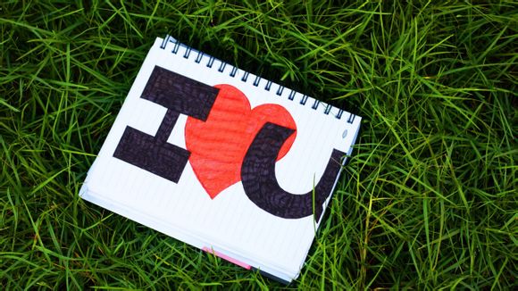 红警2灰熊如何展开