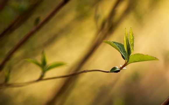 2020东京奥运会中国排第几名