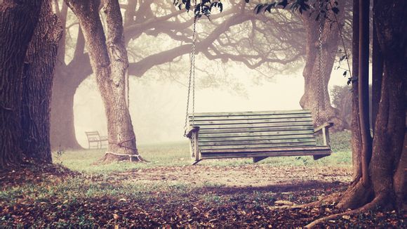 巴西杯最新比赛结果公布