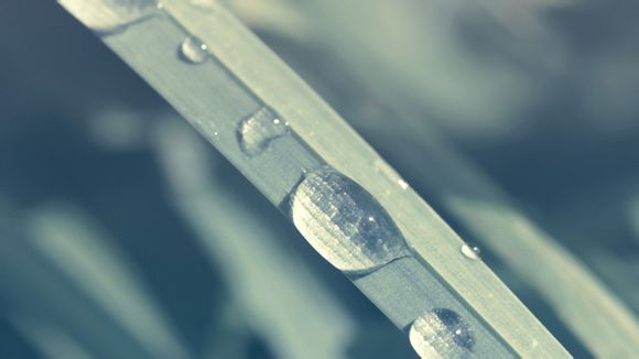 内马尔2022年世界杯在哪个球队参加