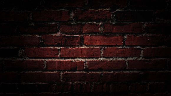 东京奥运会中国体育代表团名单公布:总人数777人