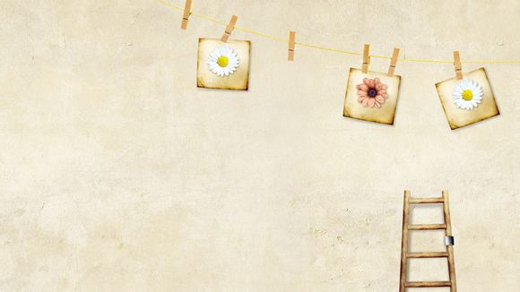 奥运会 乒乓球 女单 冠军