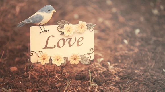 nba收入排行榜2020