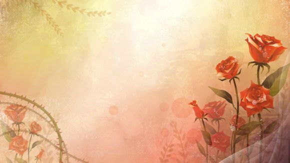 qq里气泡怎么设置方法