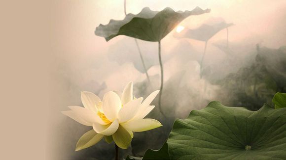 国足留洋五大联赛