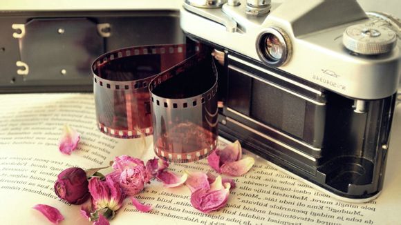 橄榄球奥运会冠军名单