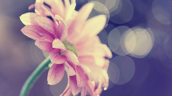 现在还有骑士吗?