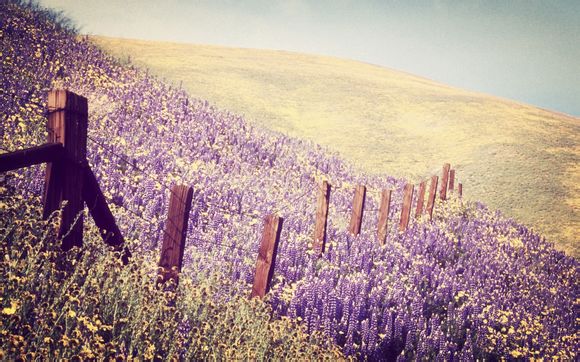 东京奥运会中国体育代表团名单公布