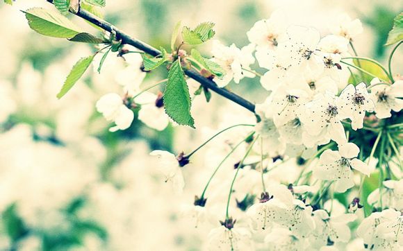 勇士各球员年薪