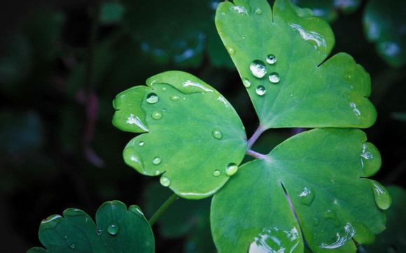 詹姆斯科比哪个厉害