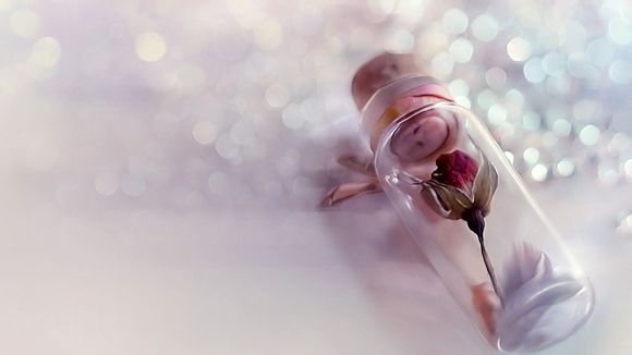 欧洲杯葡萄牙vs比利时阵容名单