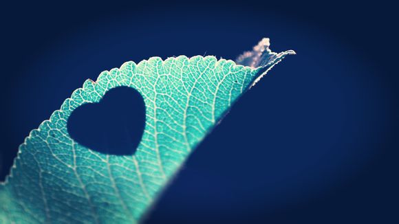 nba湖人队戴维斯