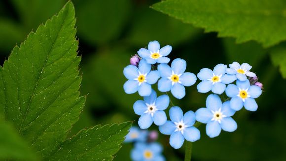 残奥会游泳是哪里残疾