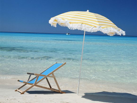 詹姆斯今年的比赛