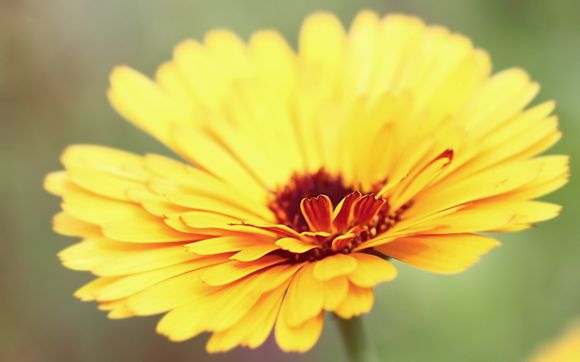 2021英格兰欧洲杯历史成绩