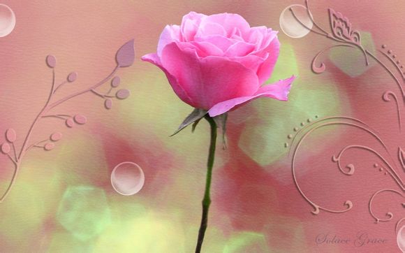 2020cba篮球总决赛时间