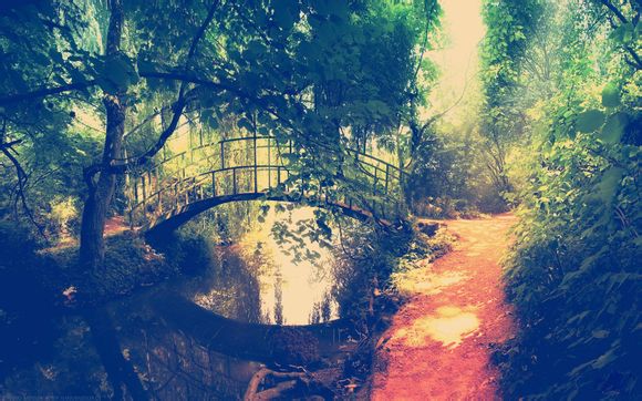 山东男篮最近赛程安排