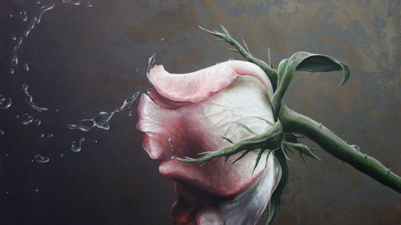 世界杯历届冠亚军一览