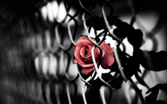 詹姆斯科比职业生涯数据对比