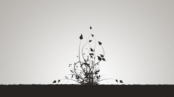 武术裁判比赛规则