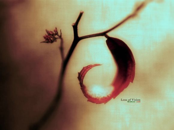 公牛vs步行者战绩分析