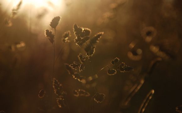 篮球队服23号是谁