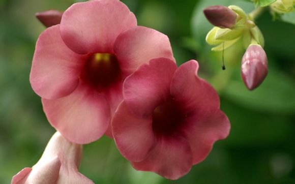 最新排名cba最新排名