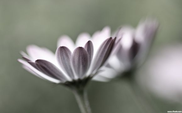 残奥会游泳包揽前三