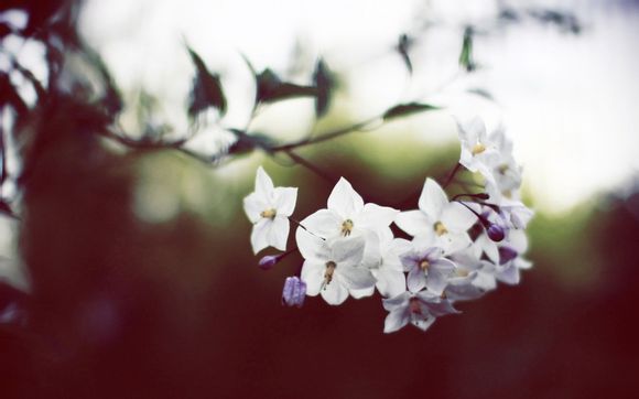 历年中国乒乓球国家队名单表