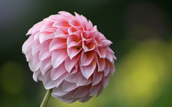 詹姆斯科比历史地位排名