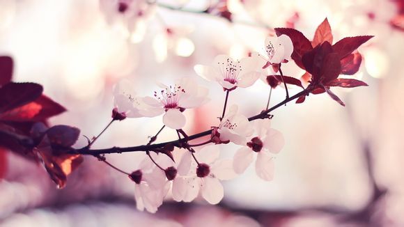 郭艾伦韩德君缺阵 新闻