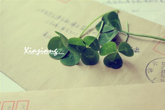 掘金游戏怎么玩