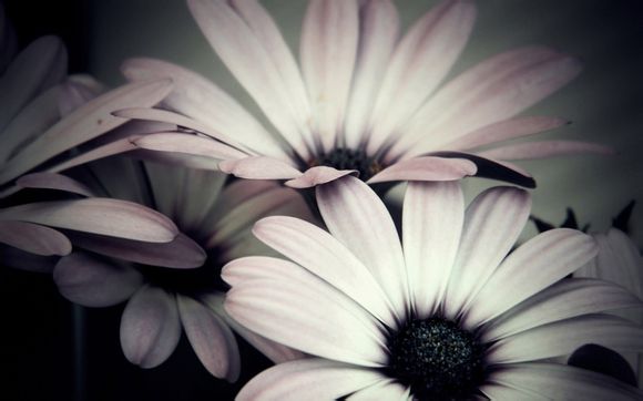 fifa2021创建球员