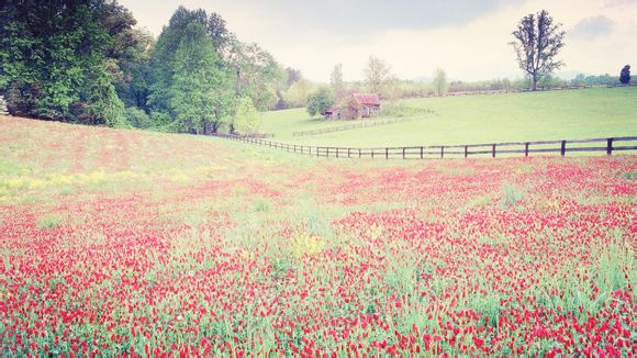 卡隆巴特勒技术特点