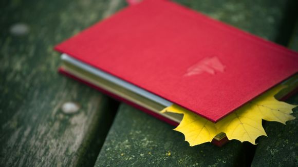 北京冬奥会申奥理念